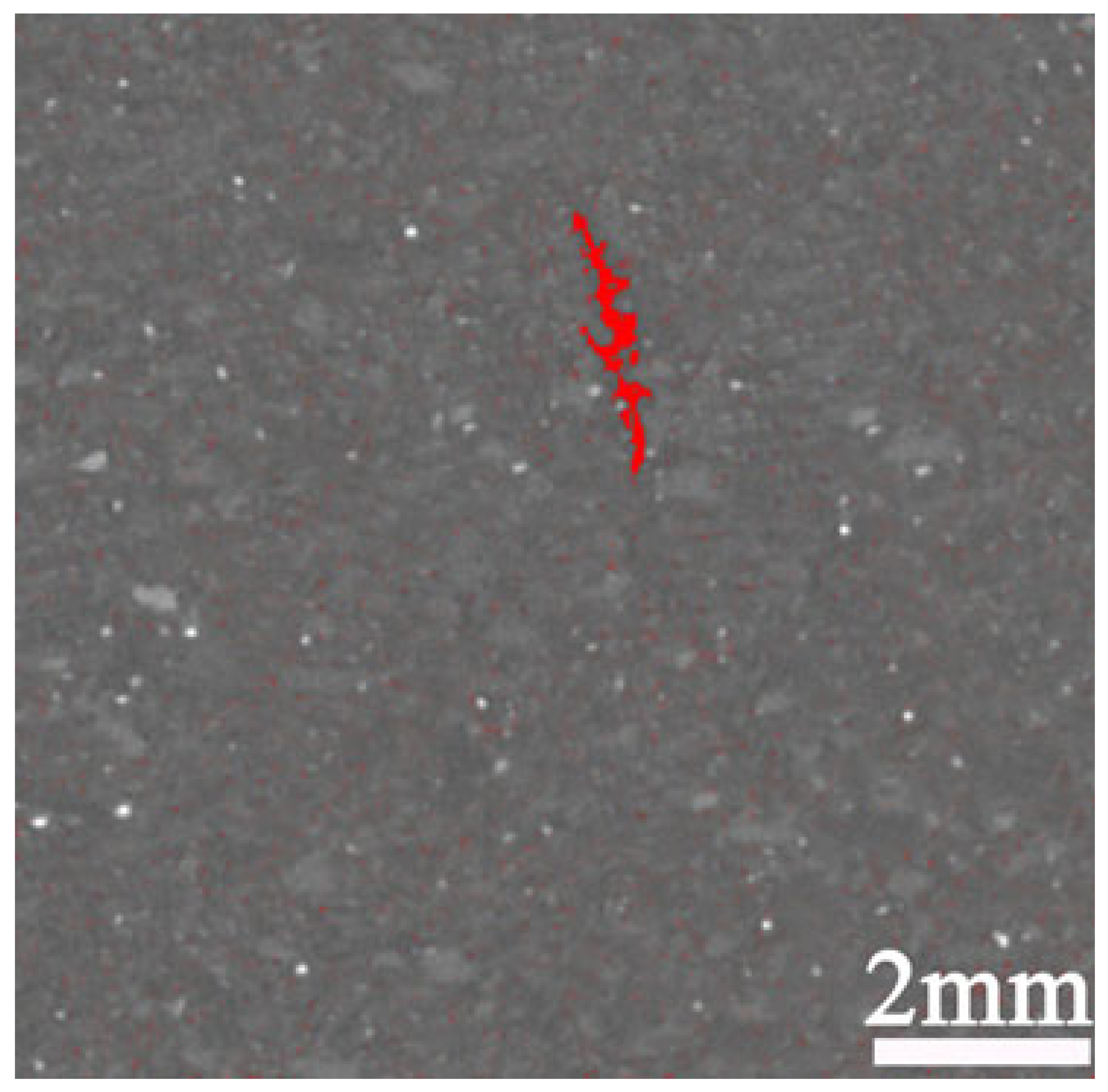 Applsci 15 06205 i014