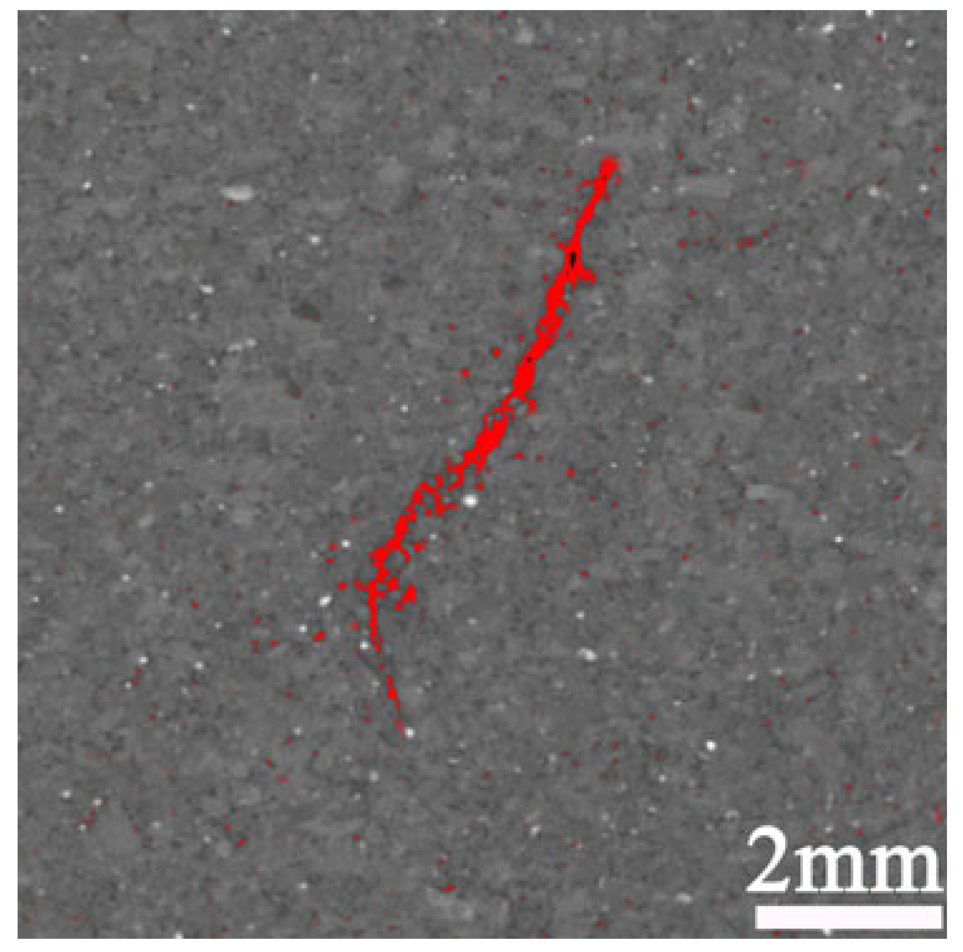 Applsci 15 06205 i018