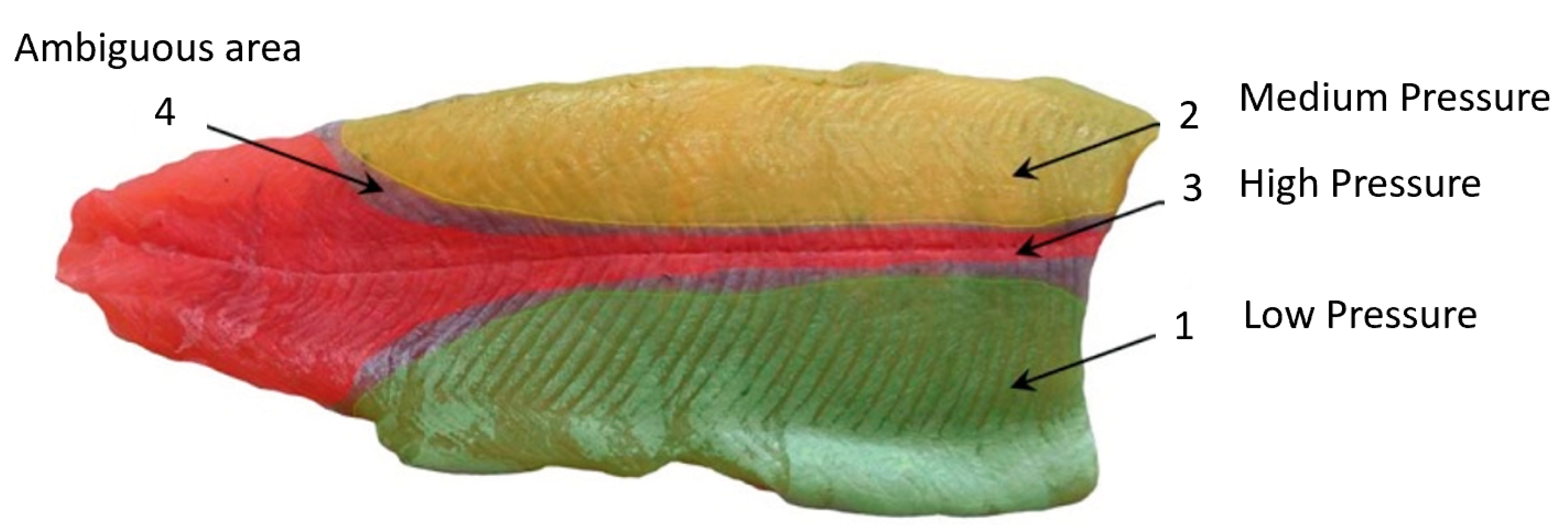 Applsci 15 06246 g018