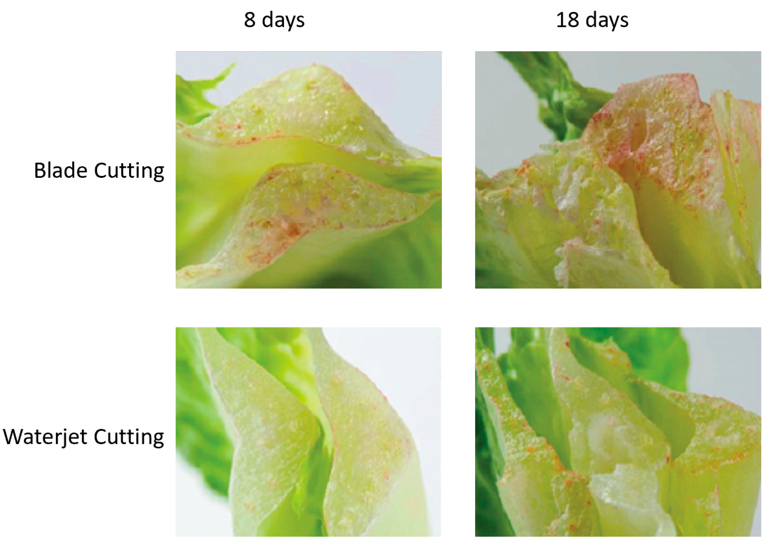 Applsci 15 06246 g020