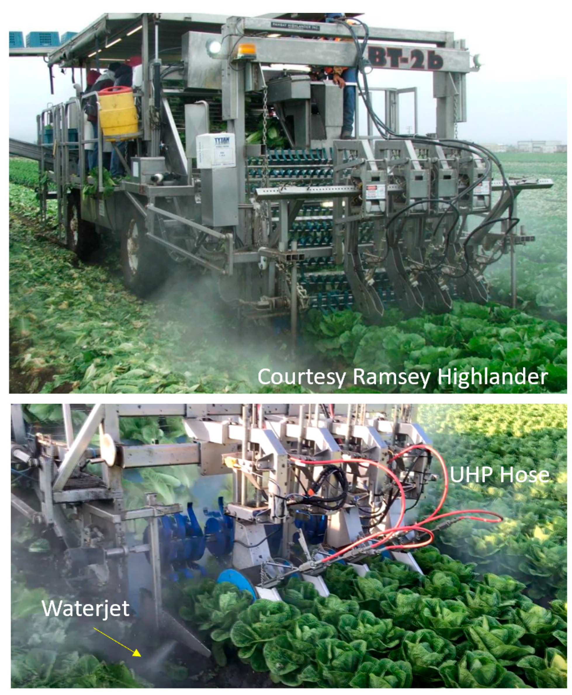 Applsci 15 06246 g021