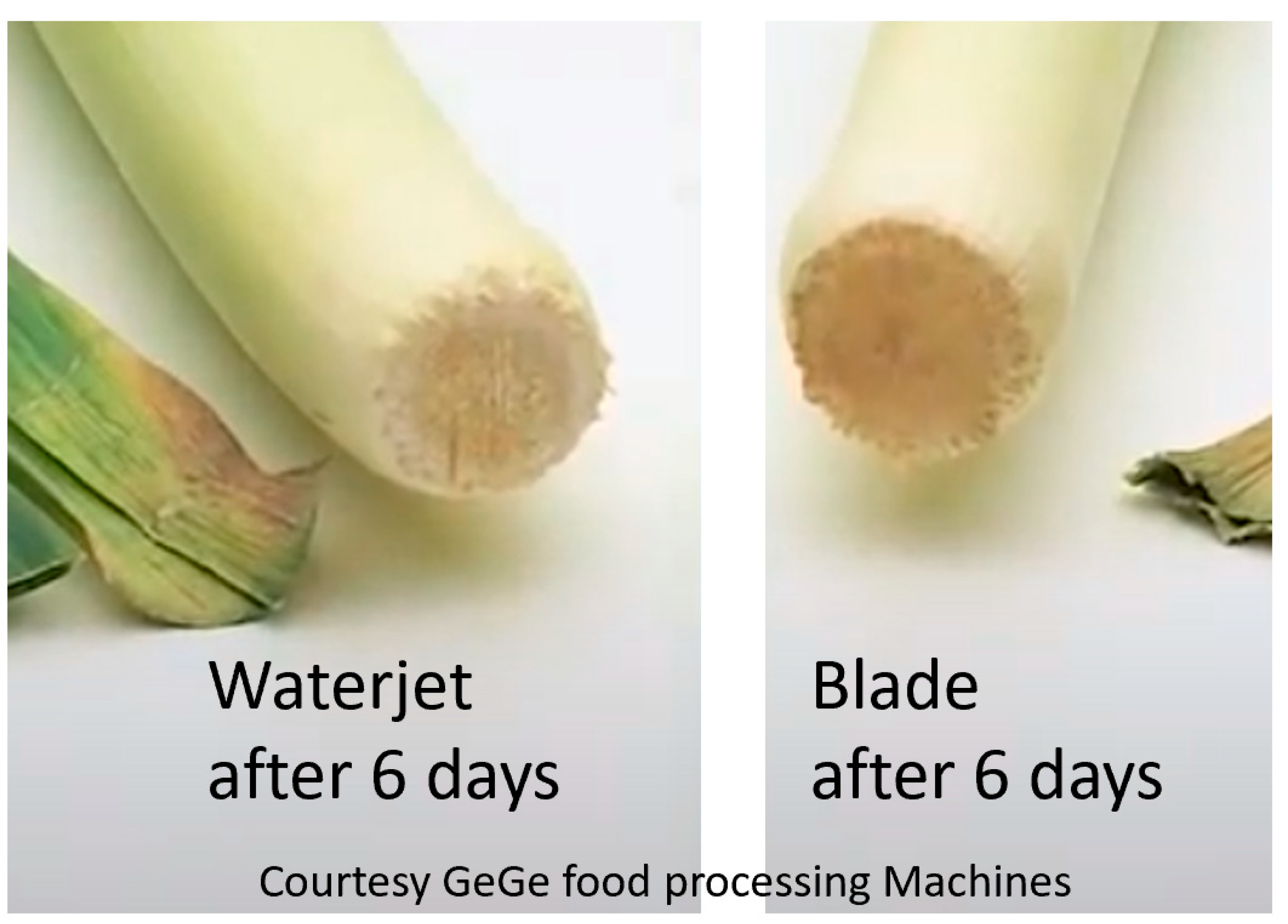 Applsci 15 06246 g022