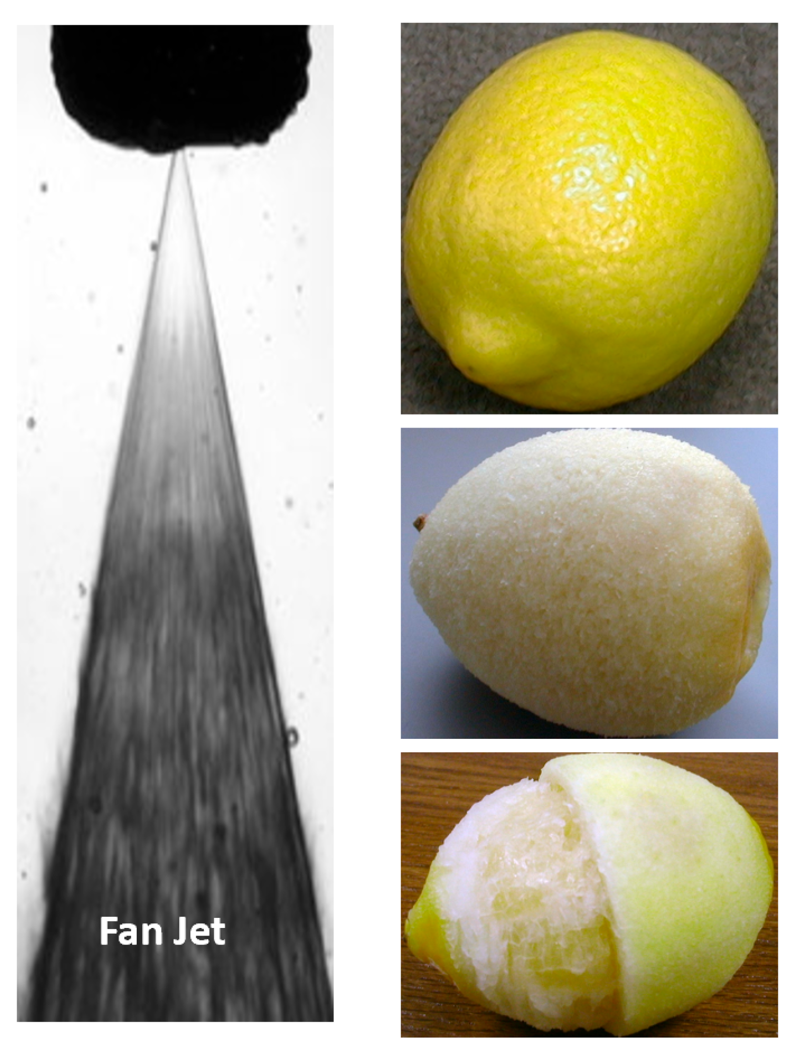 Applsci 15 06246 g027