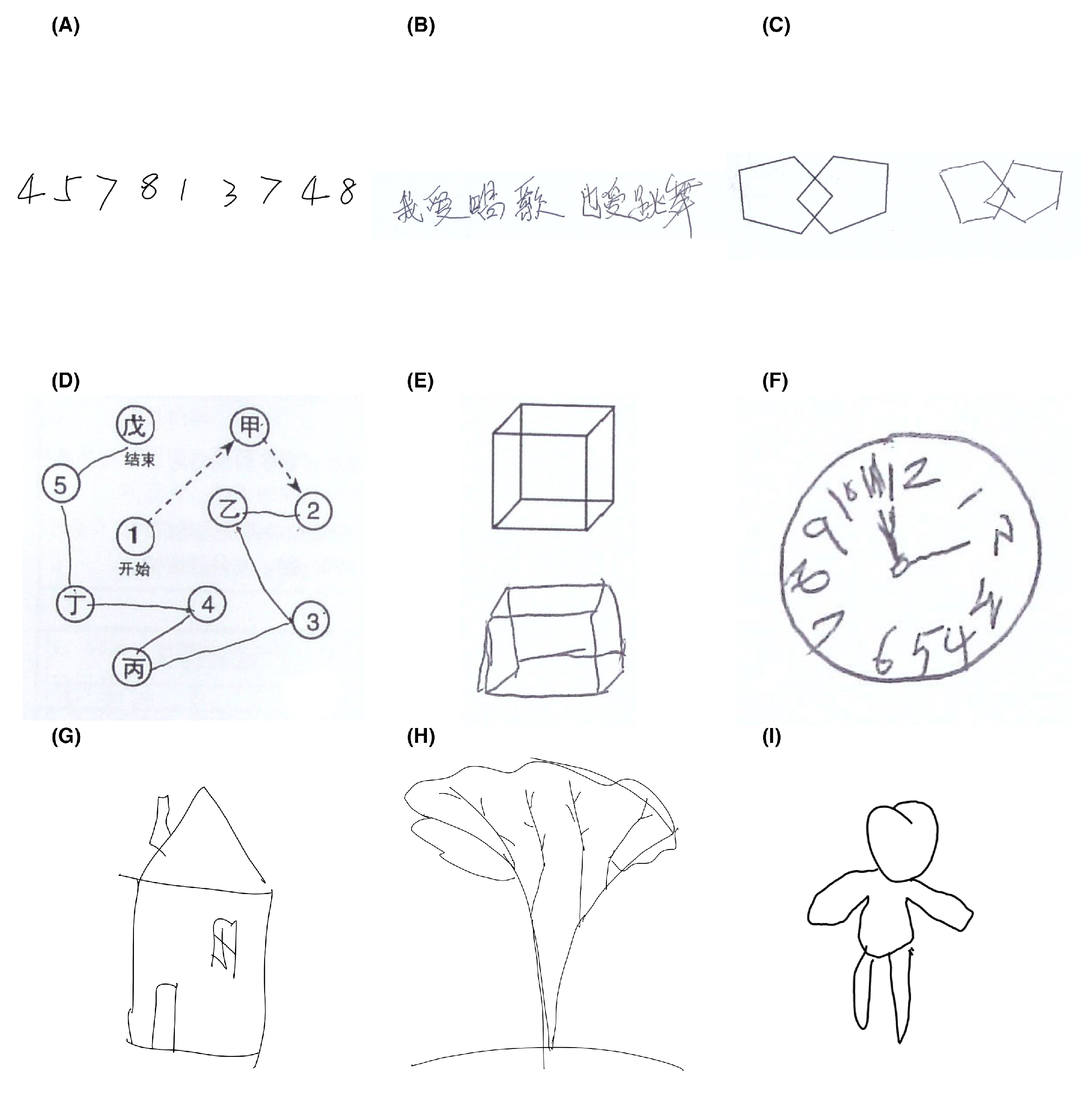 Applsci 15 06257 g001