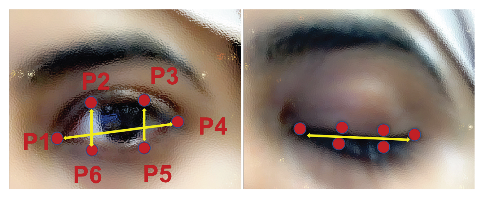 Applsci 15 06267 g003