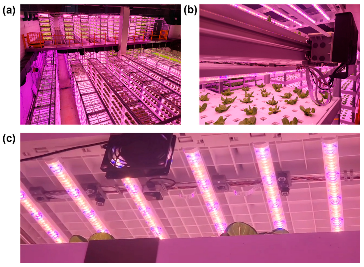 Applsci 15 06278 g001