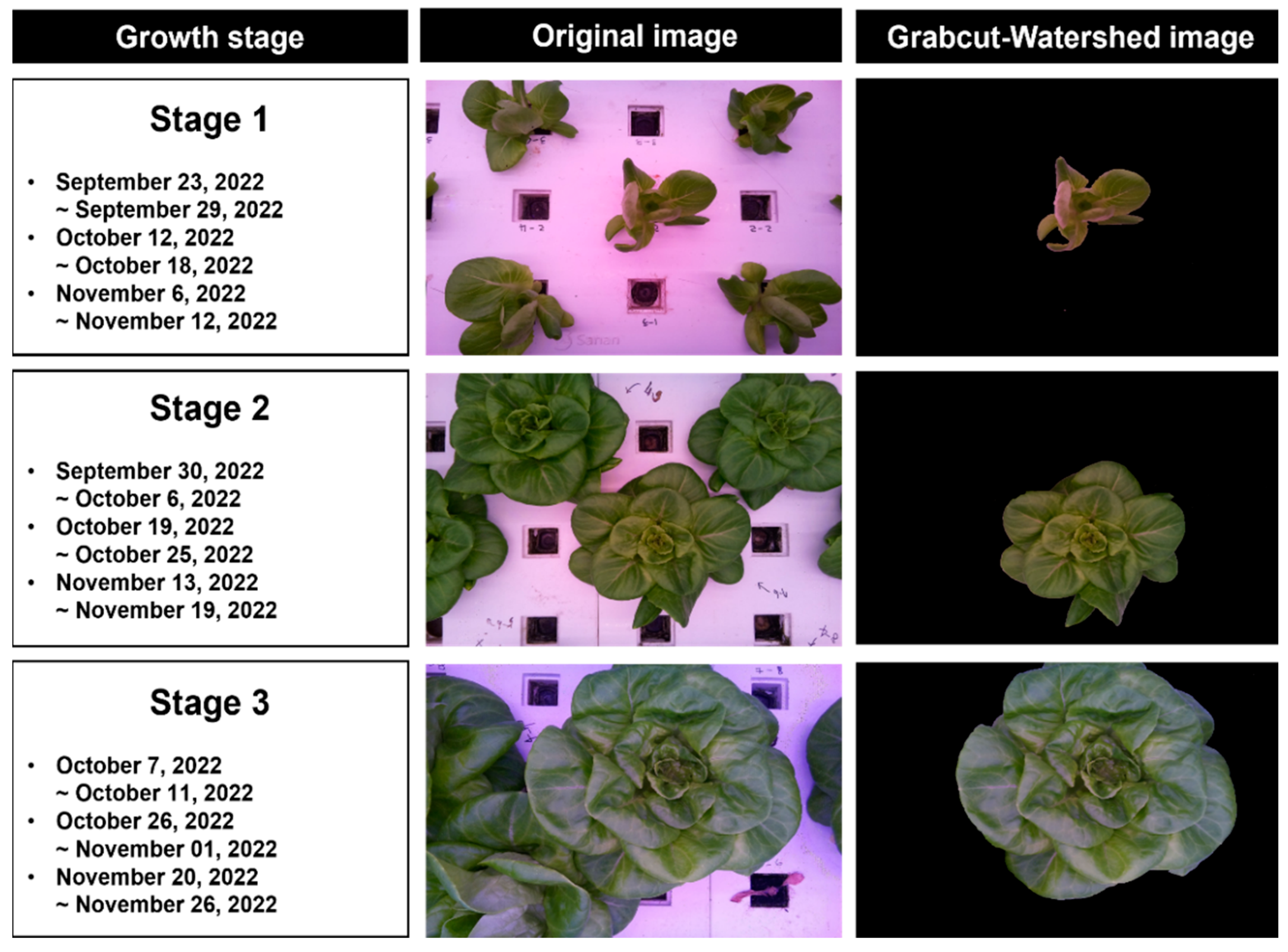 Applsci 15 06278 g002