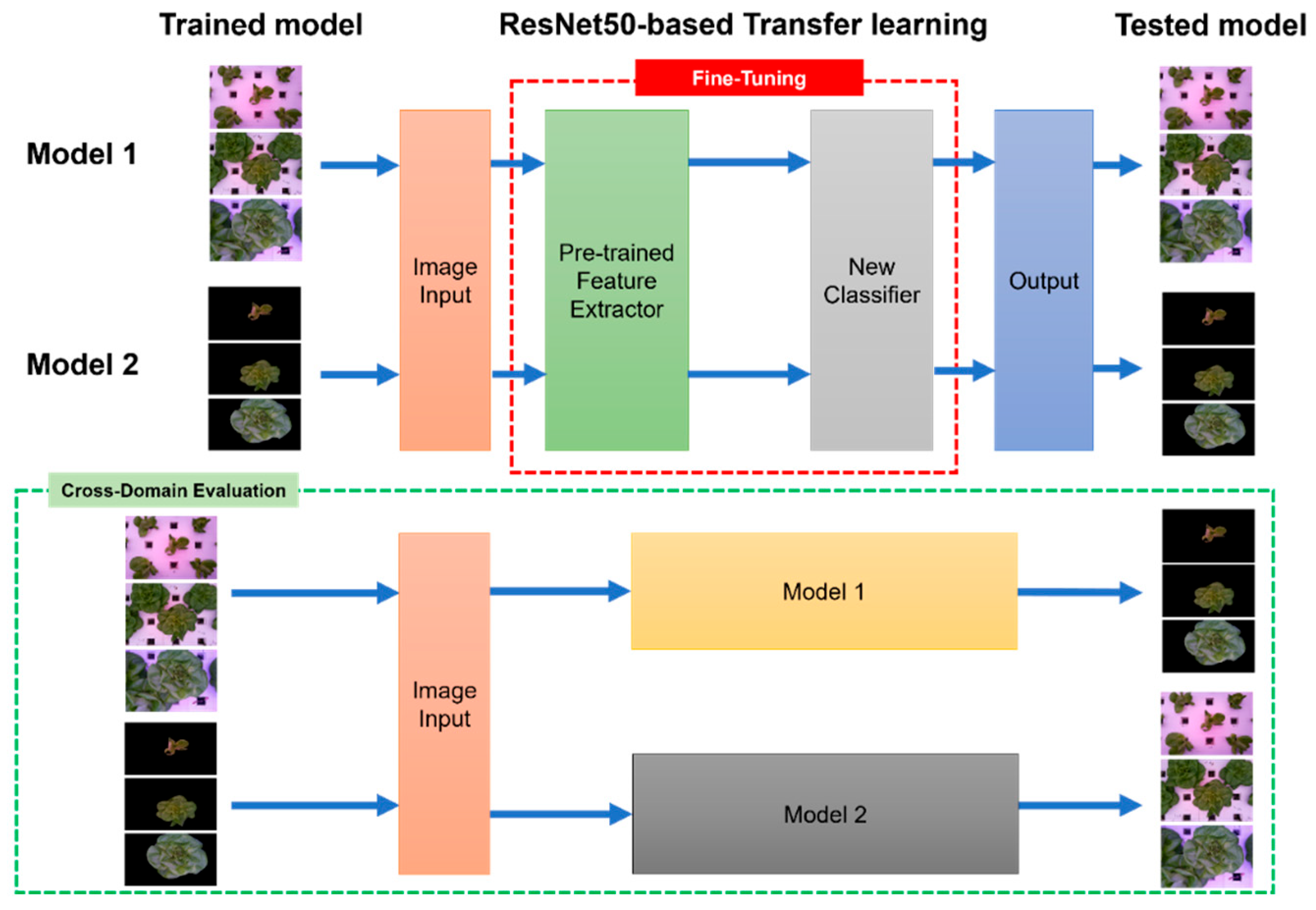 Applsci 15 06278 g003