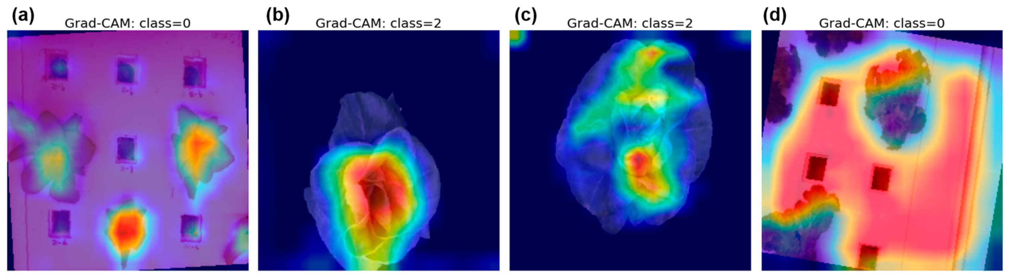 Applsci 15 06278 g006