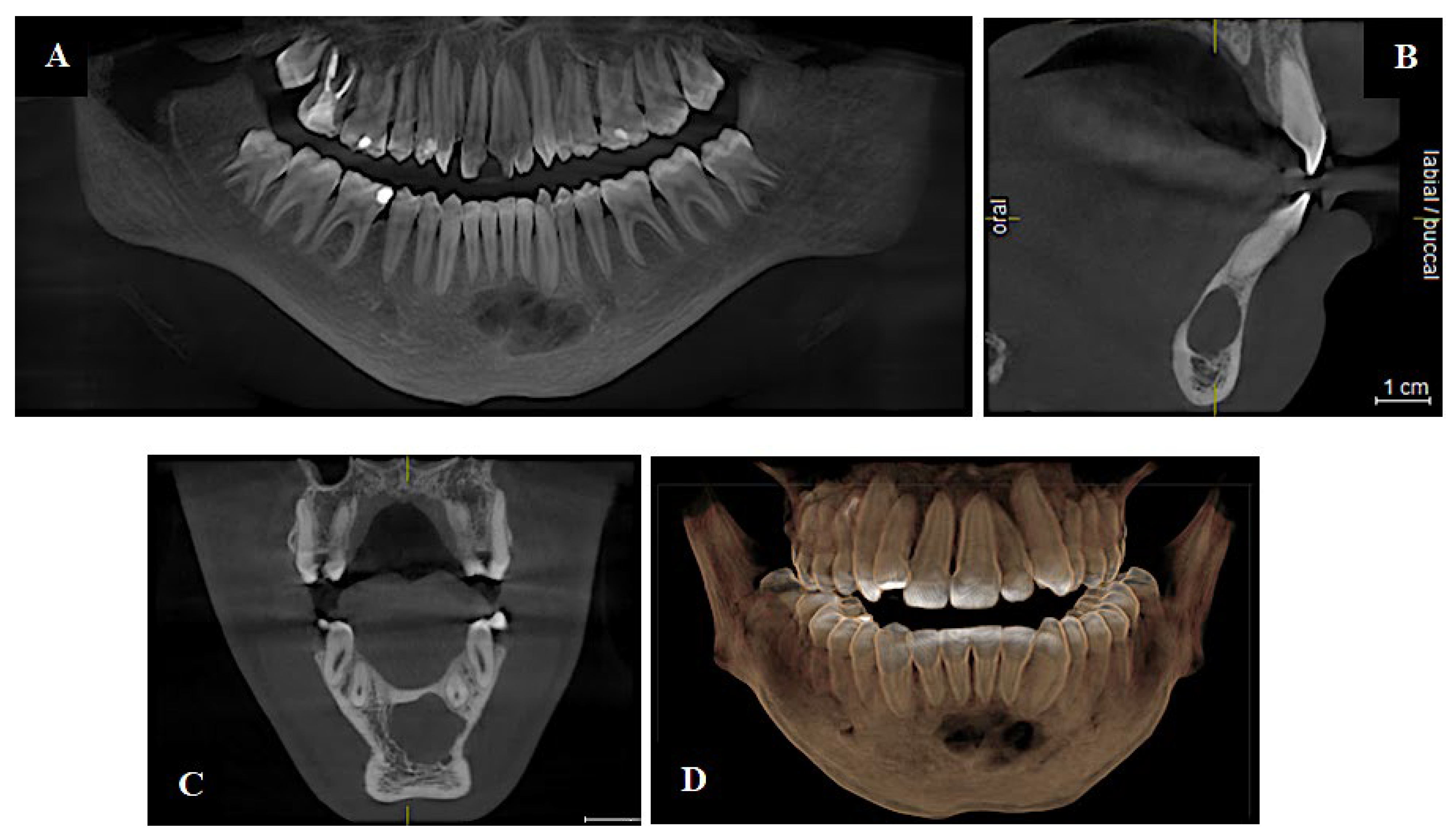 Applsci 15 06308 g003
