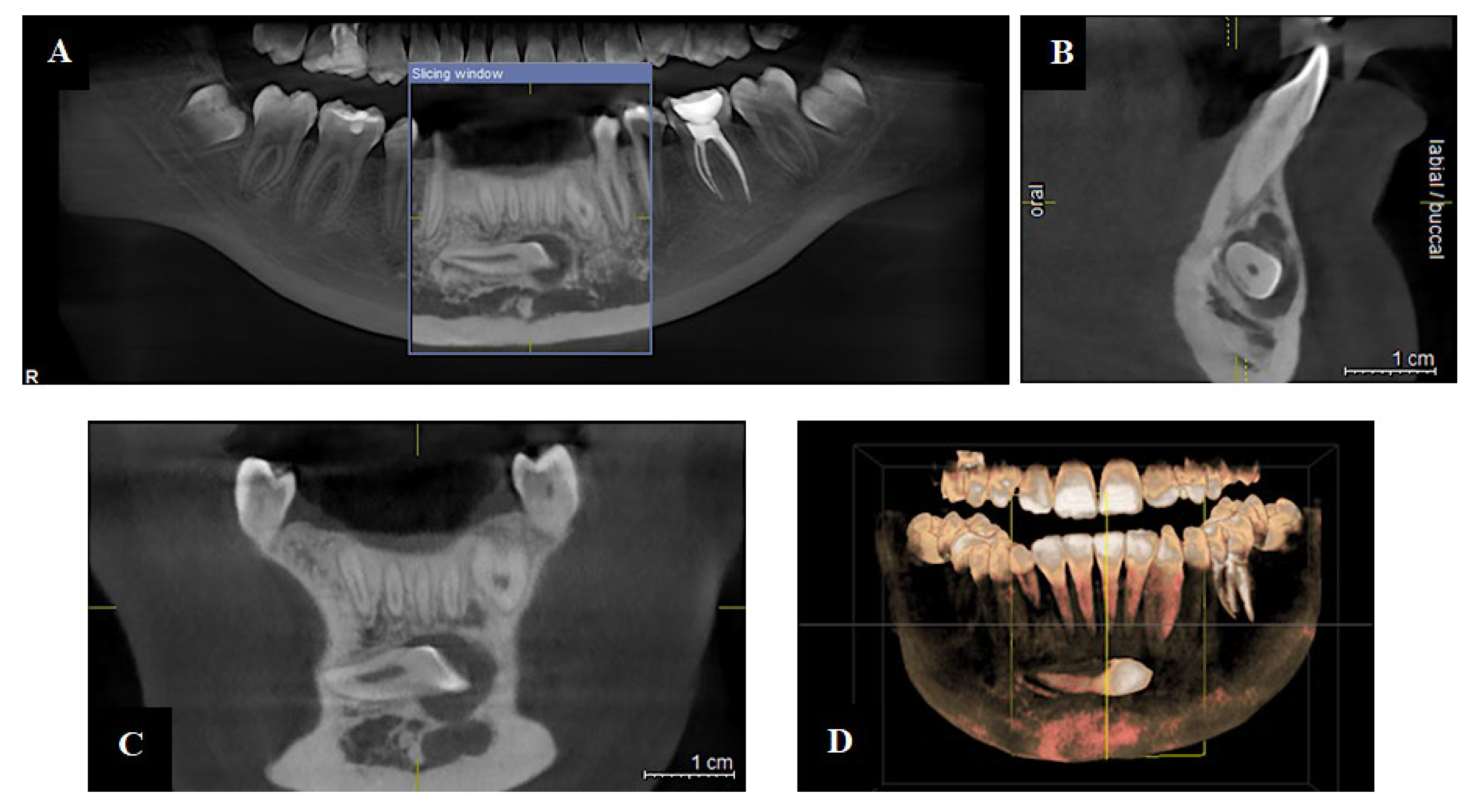 Applsci 15 06308 g004