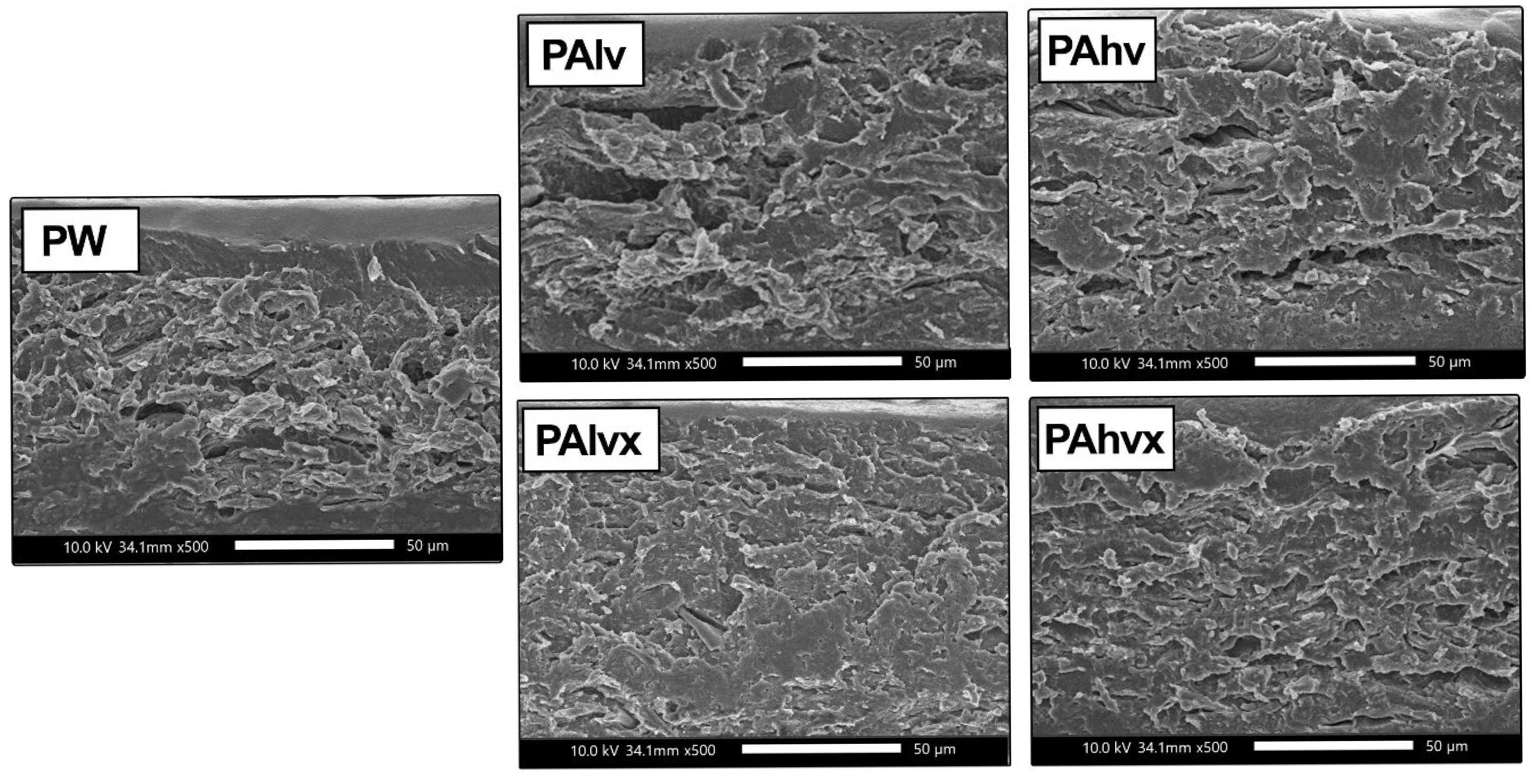 Applsci 15 06385 g007