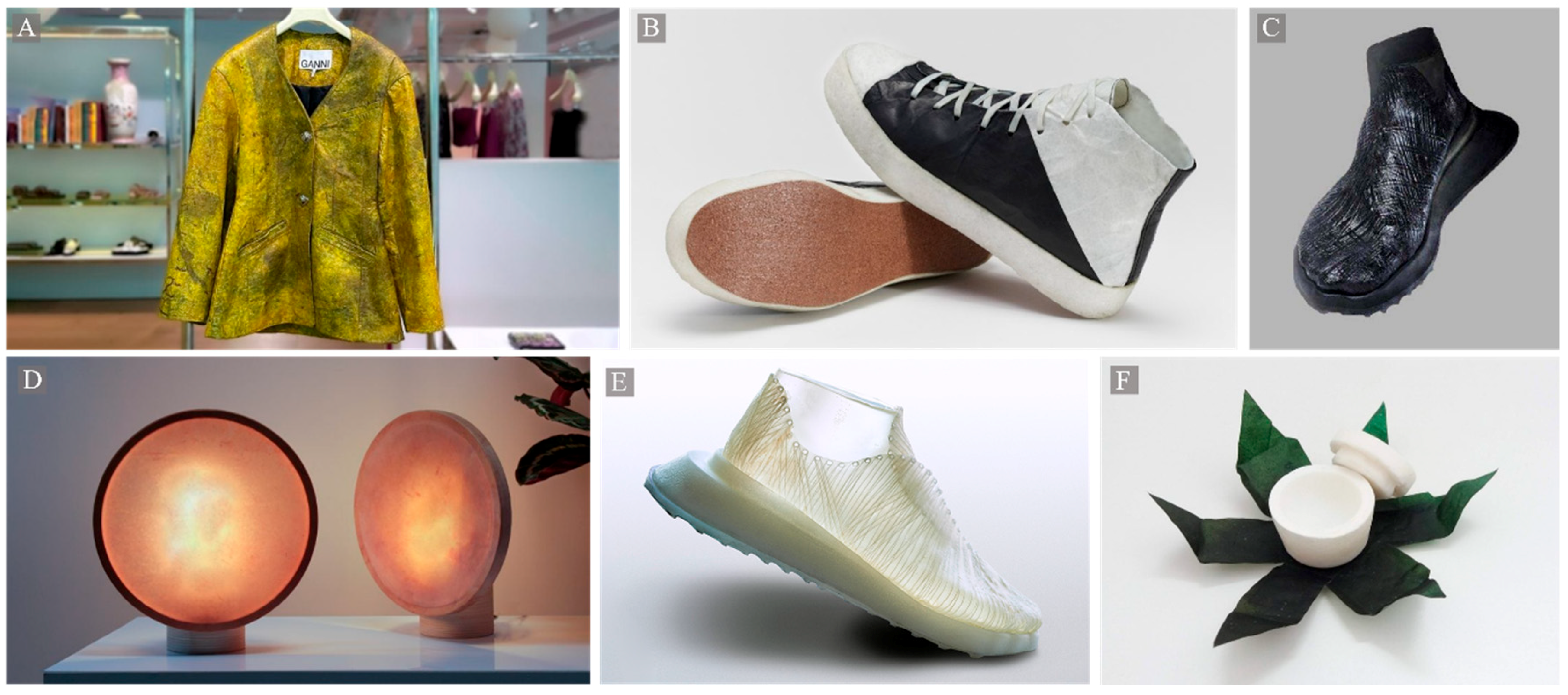 Applsci 15 06396 g001