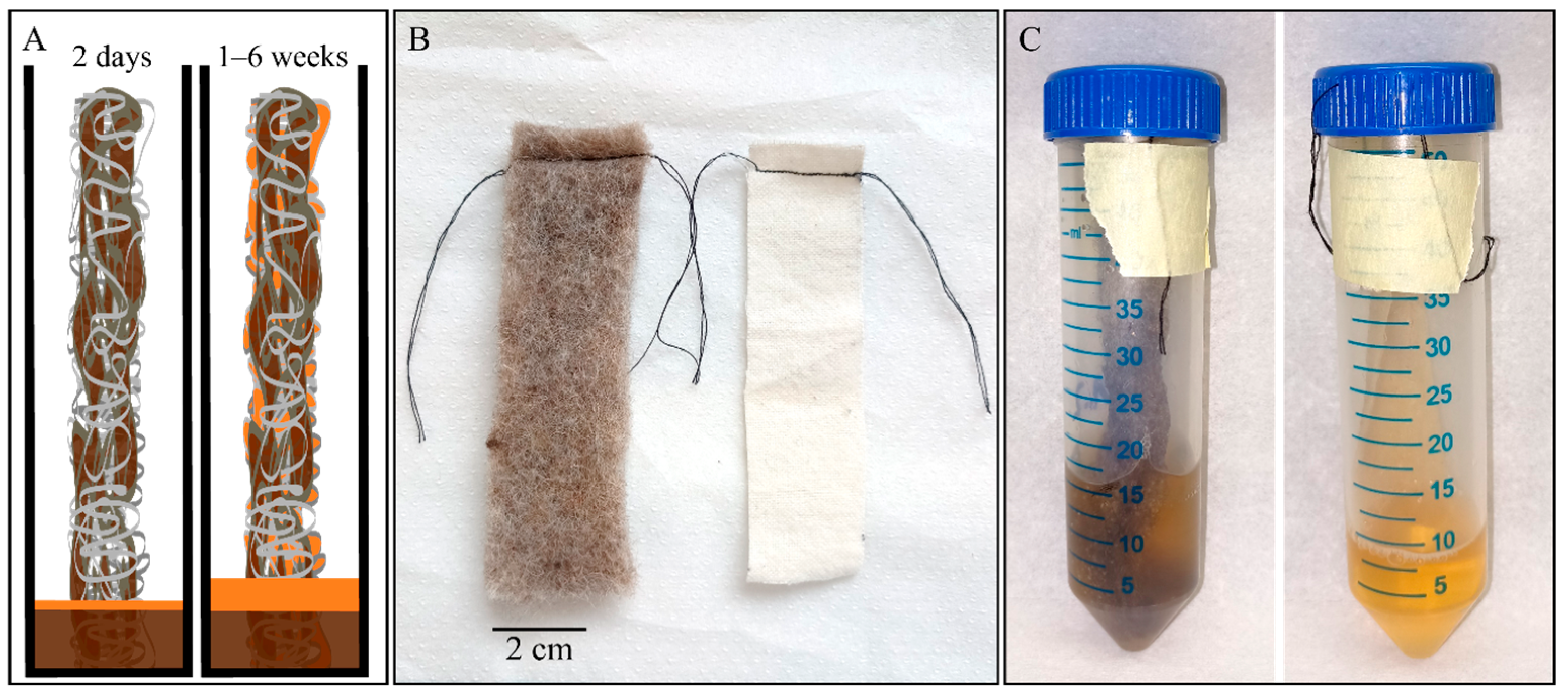 Applsci 15 06396 g002