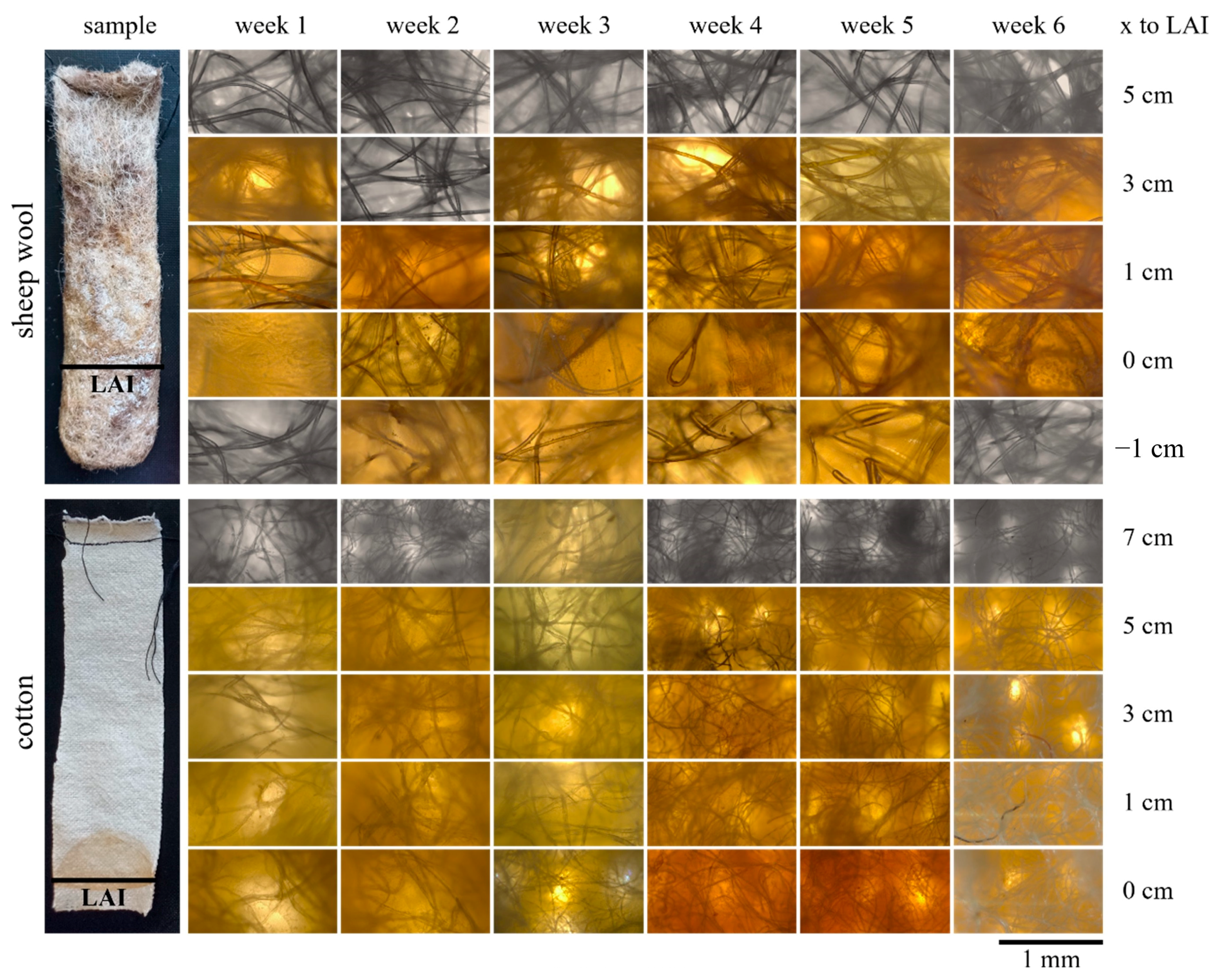 Applsci 15 06396 g003