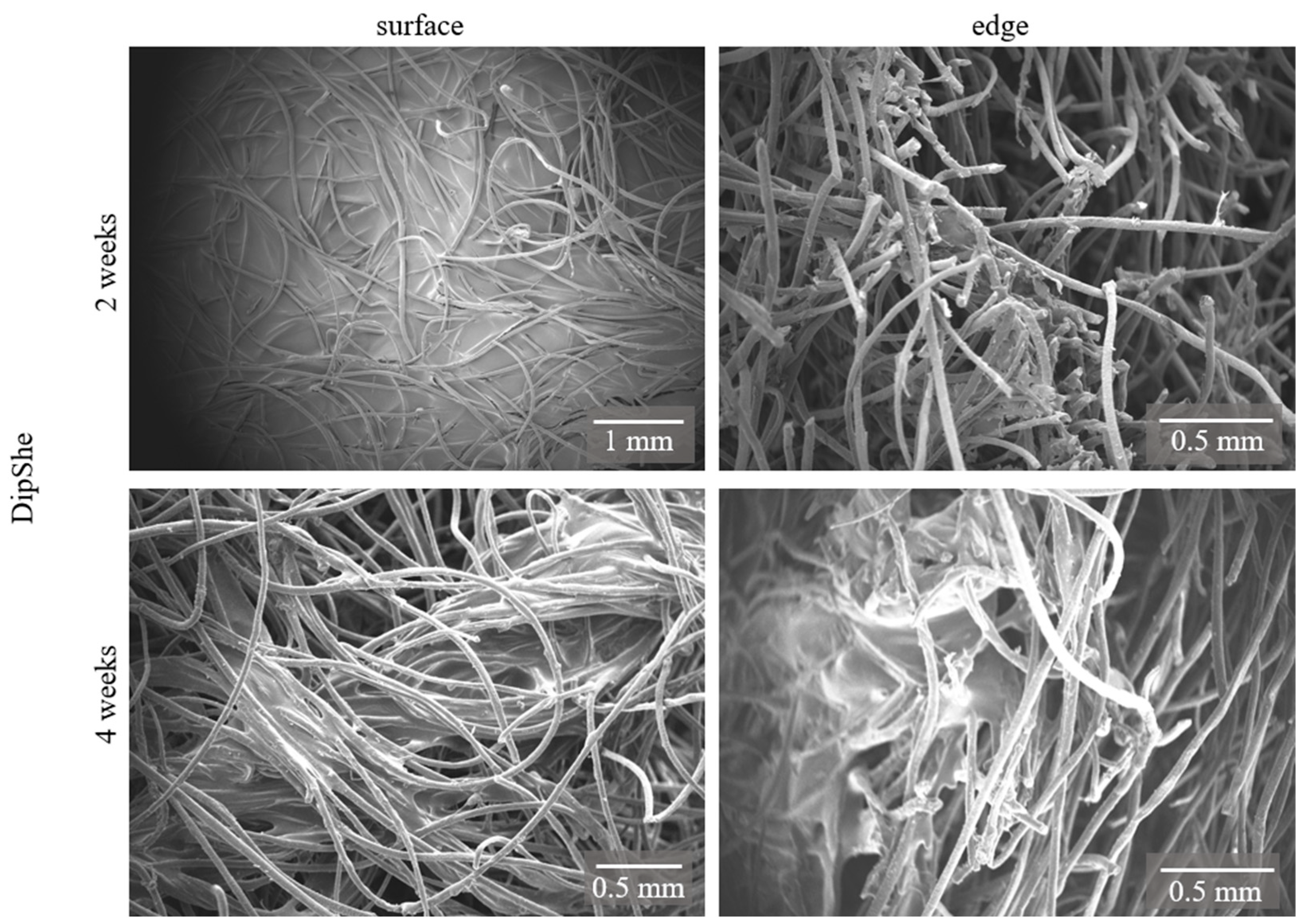 Applsci 15 06396 g005