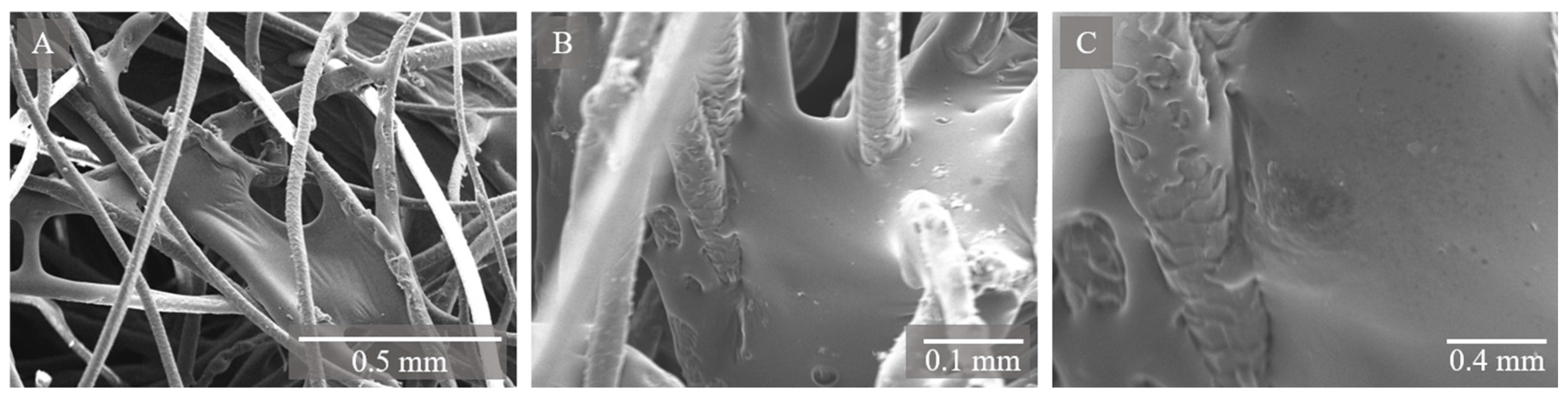 Applsci 15 06396 g006