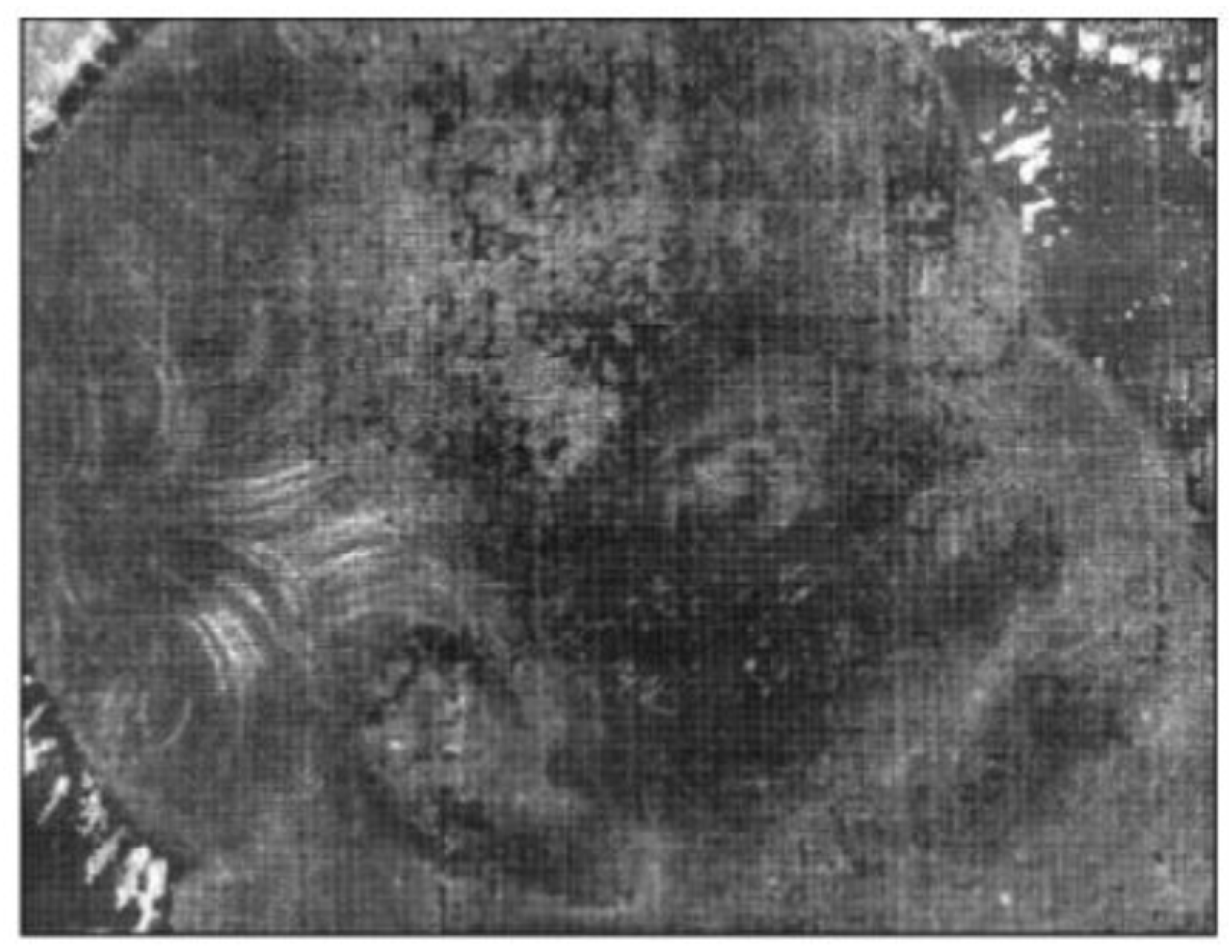 Applsci 15 06402 g007 Applsci 15 06402 g007