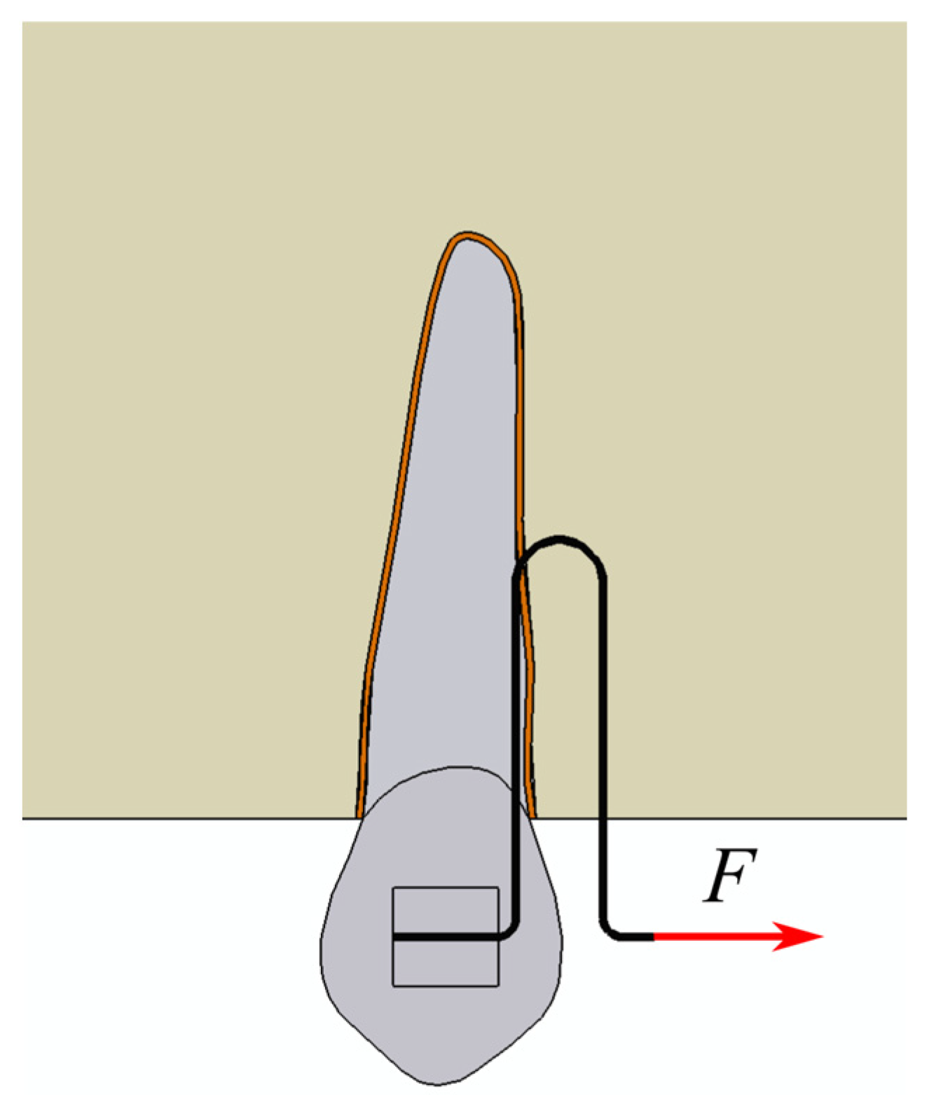 Applsci 15 06463 g001