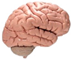 Applsci 15 06472 i002 Applsci 15 06472 i002