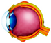 Applsci 15 06472 i004 Applsci 15 06472 i004