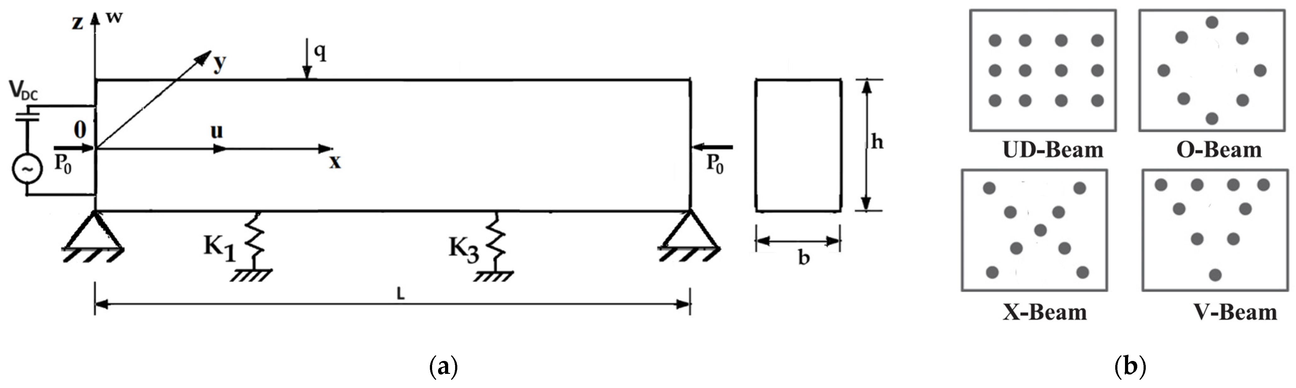 Applsci 15 06494 g001