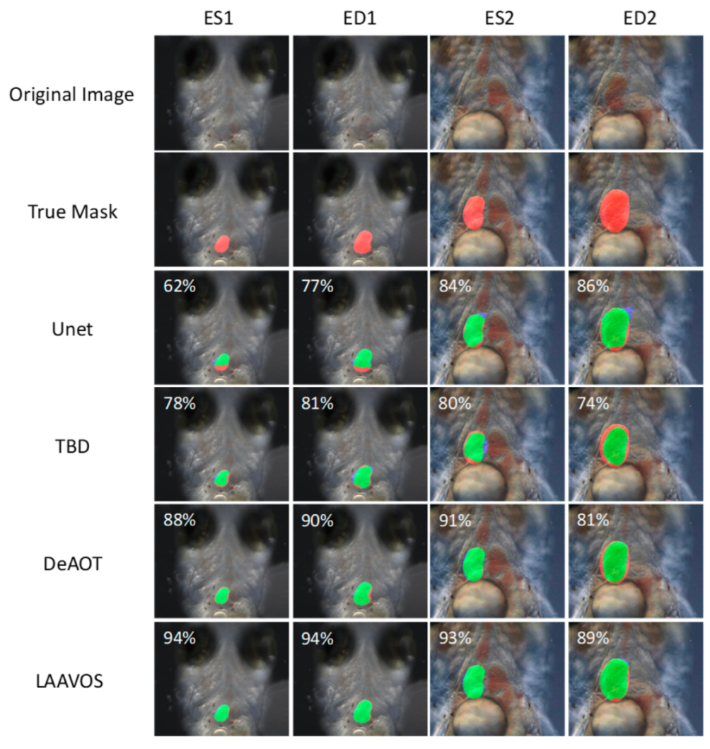 Applsci 15 06537 g008