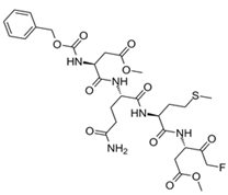 Applsci 15 06544 i016