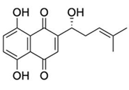 Applsci 15 06544 i023