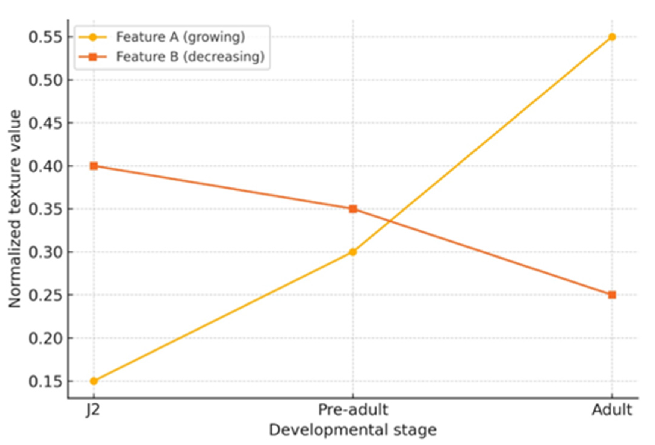 Applsci 15 06597 g002