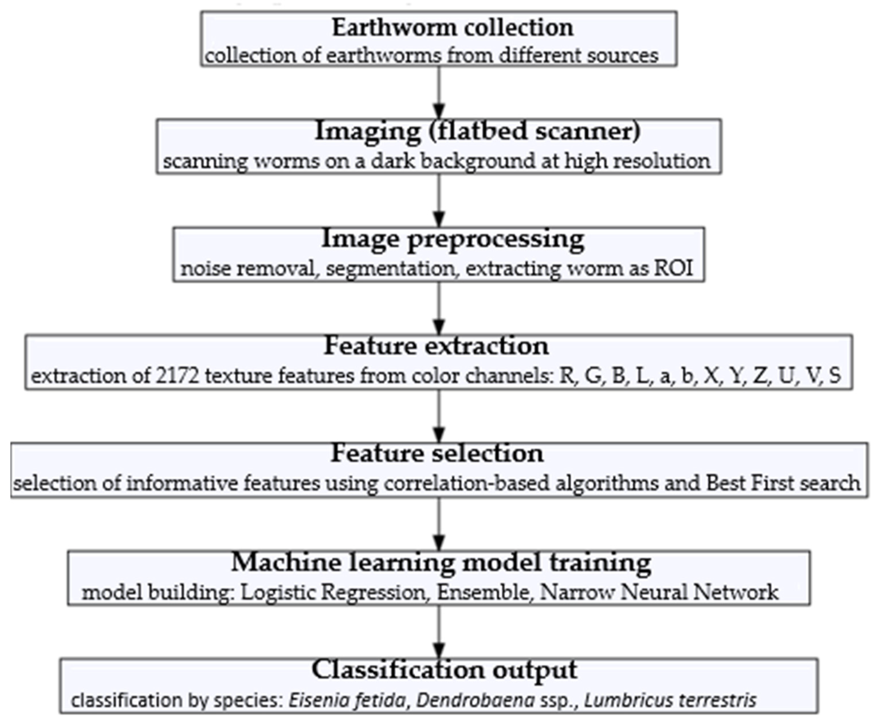 Applsci 15 06597 g003