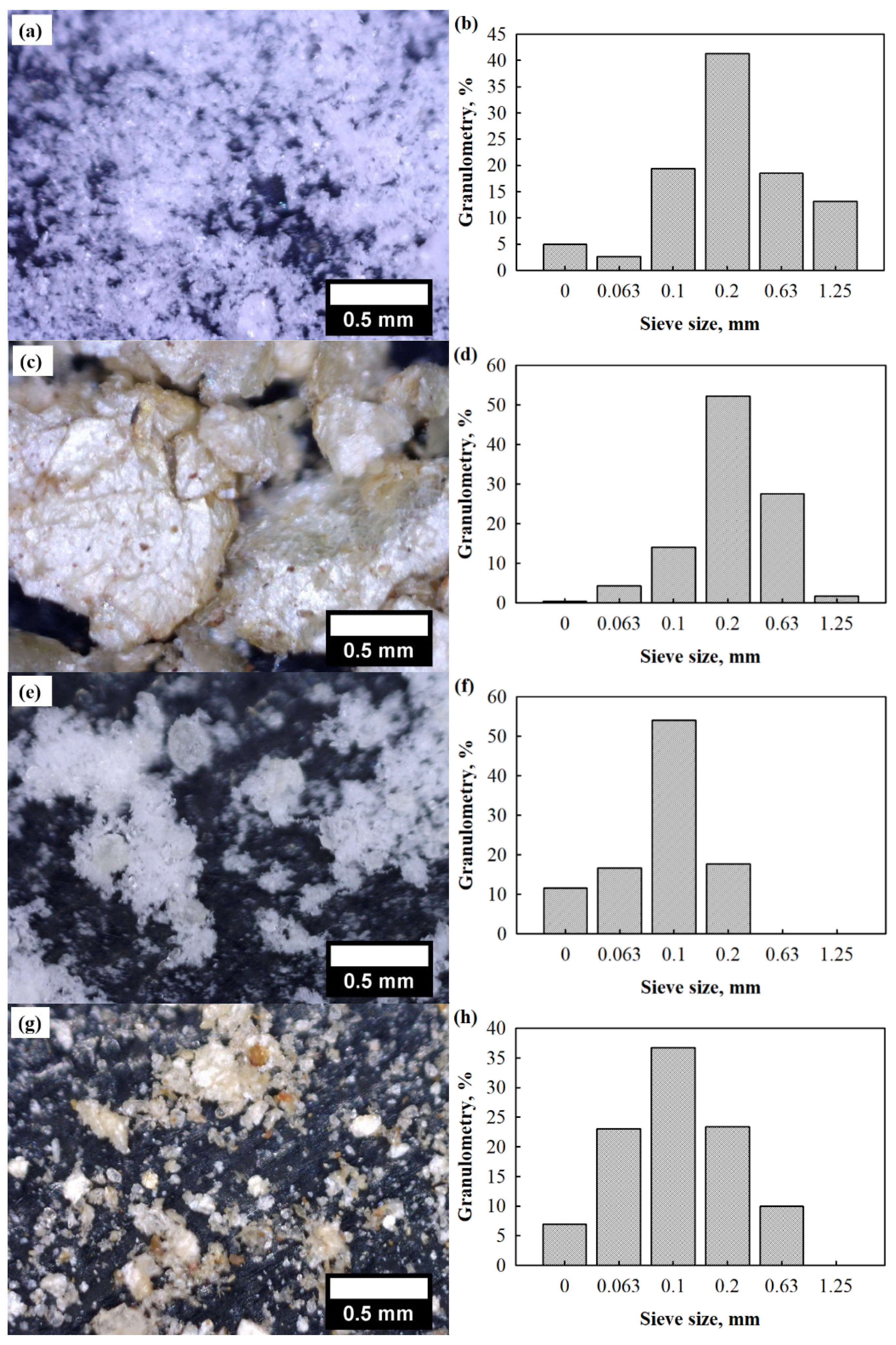 Applsci 15 06604 g001