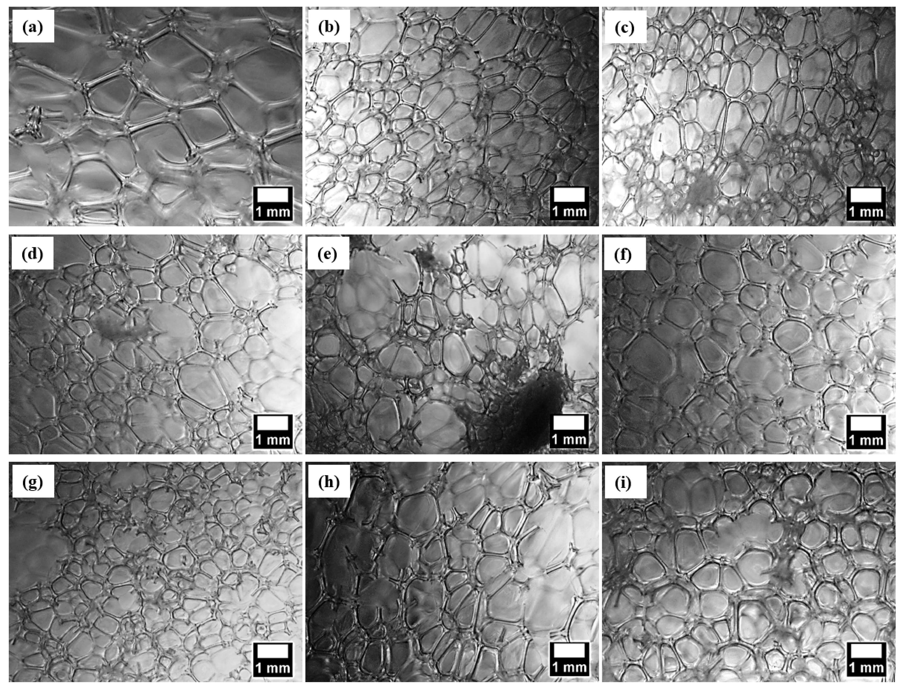 Applsci 15 06604 g005