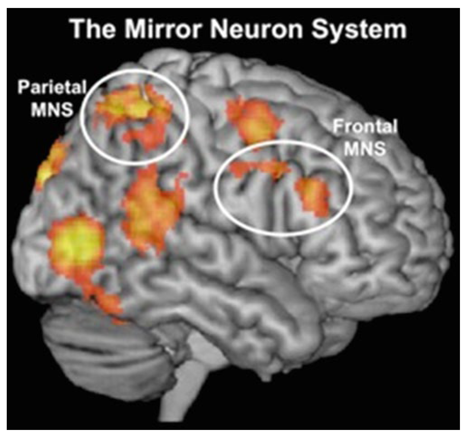 Applsci 15 06629 g001