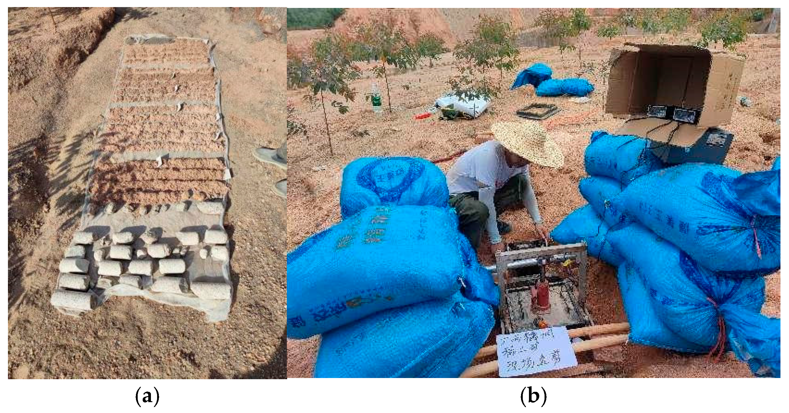 Applsci 15 06677 g002