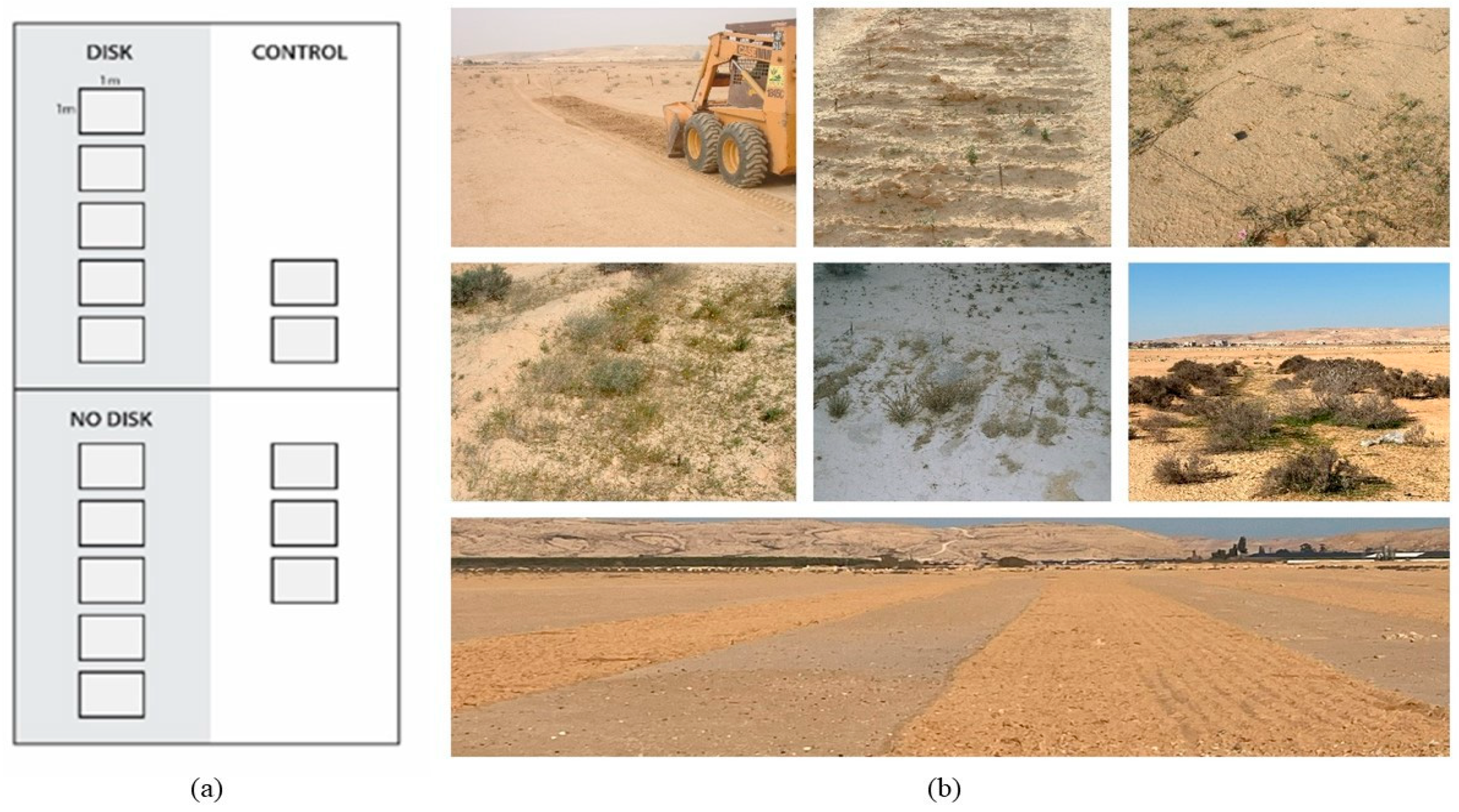 Applsci 15 06718 g002