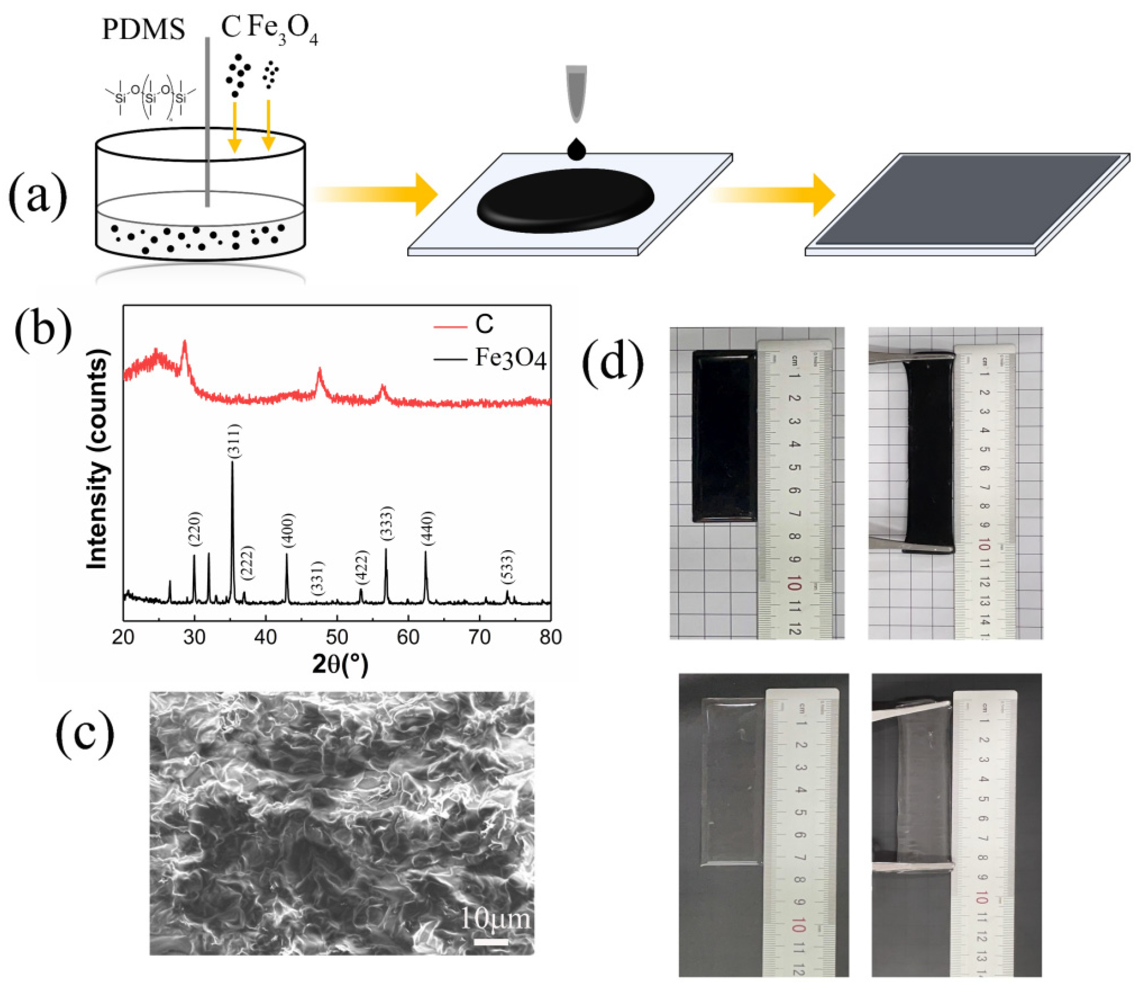 Applsci 15 06719 g001