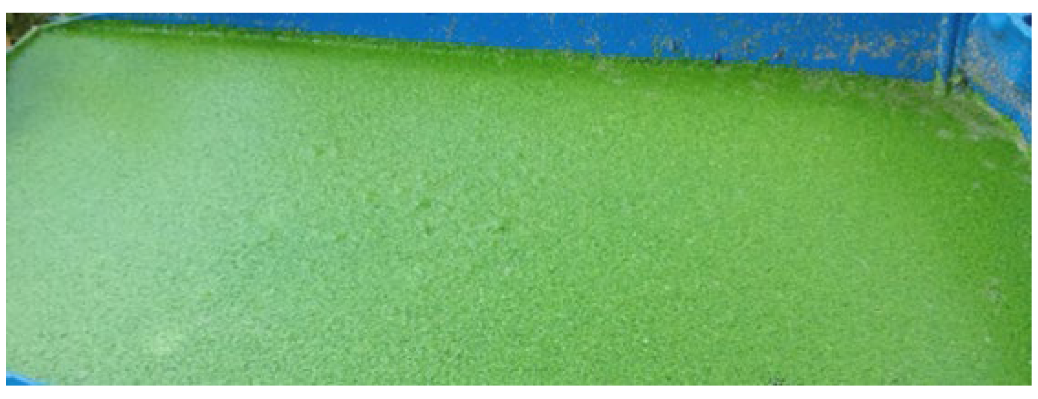 Applsci 15 06732 g008