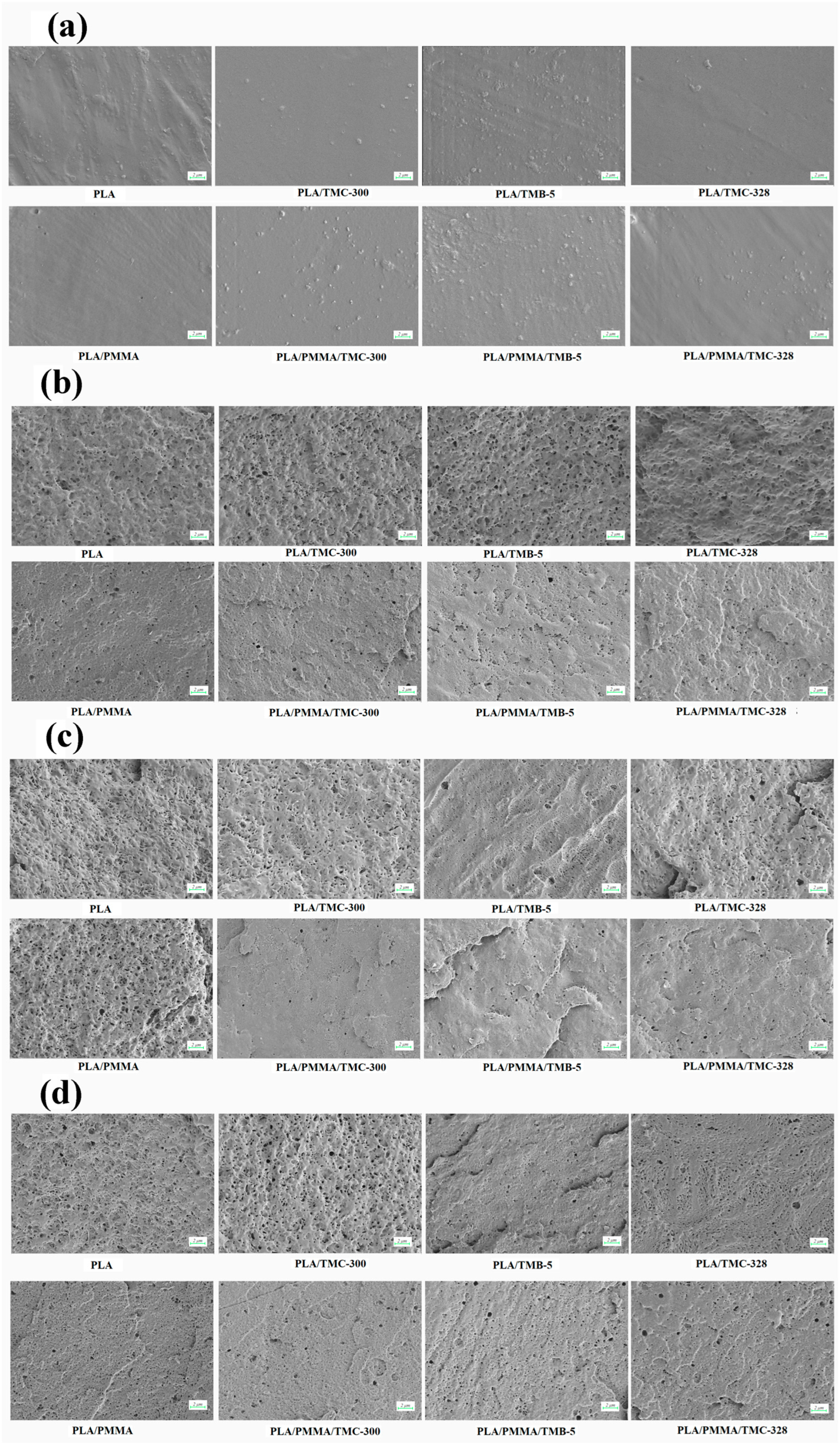 Applsci 15 06738 g006 Applsci 15 06738 g006