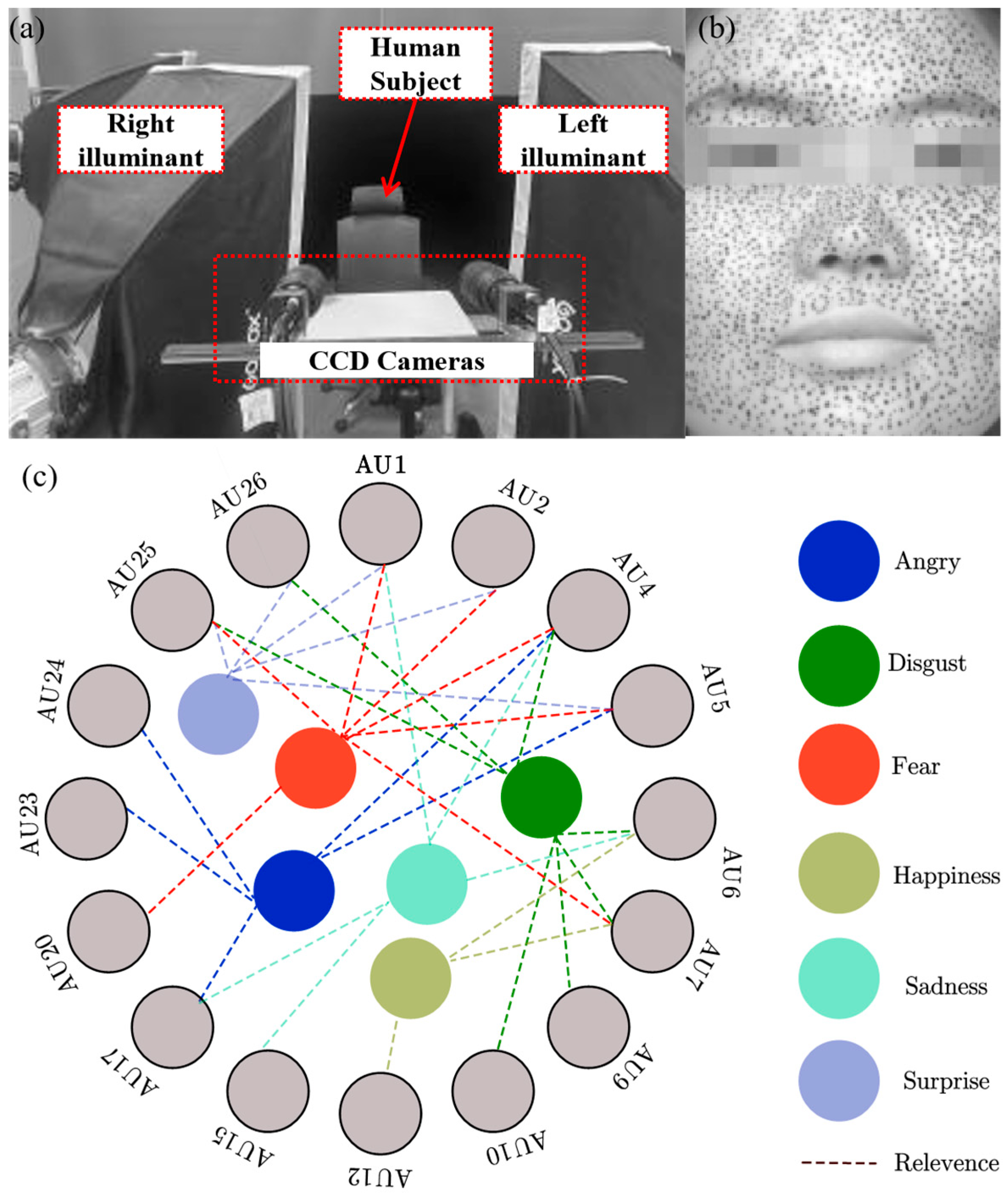 Applsci 15 06803 g001