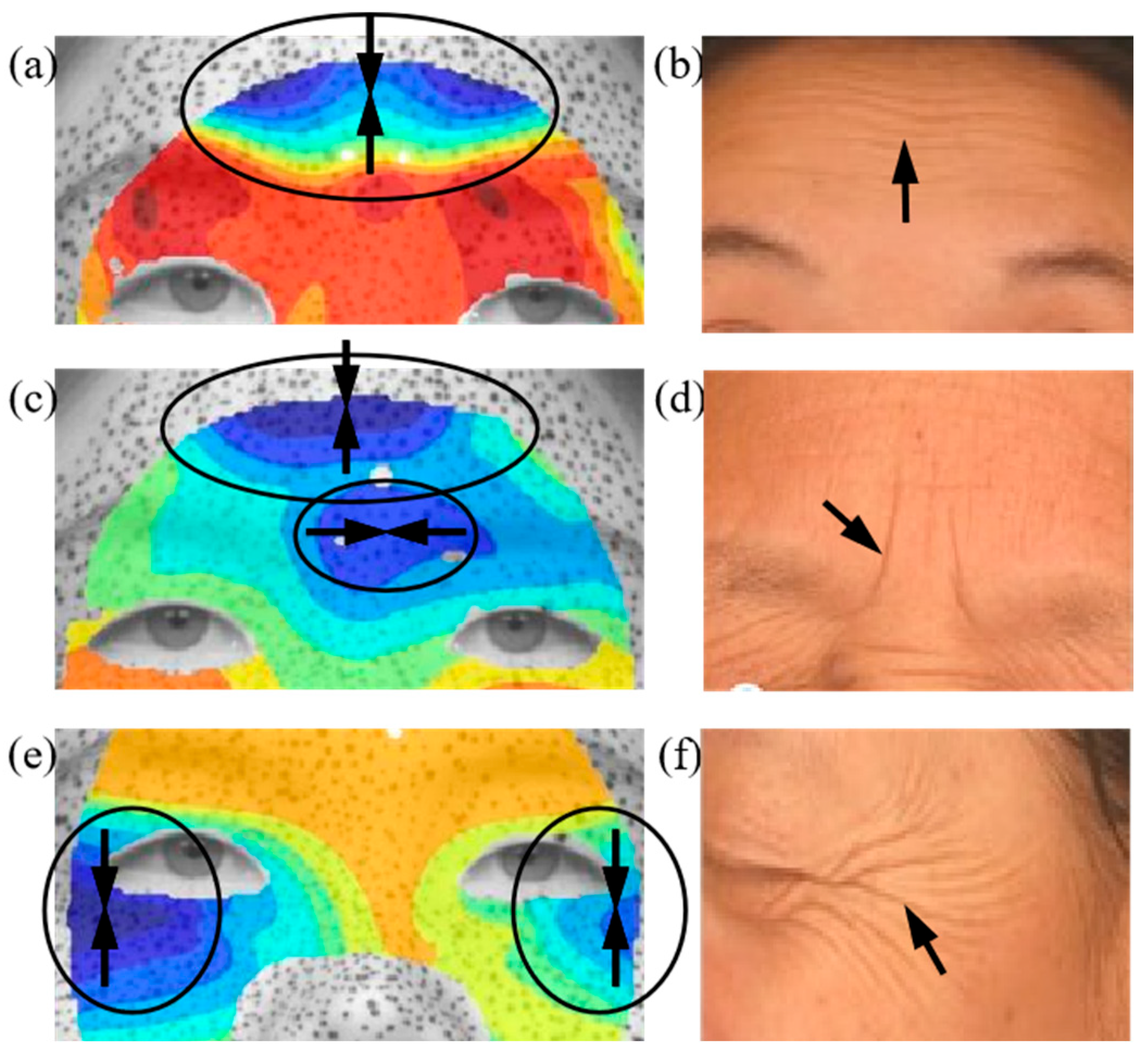 Applsci 15 06803 g005