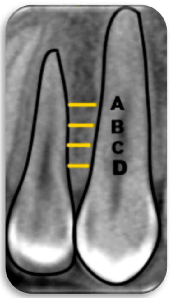 Applsci 15 06866 g002