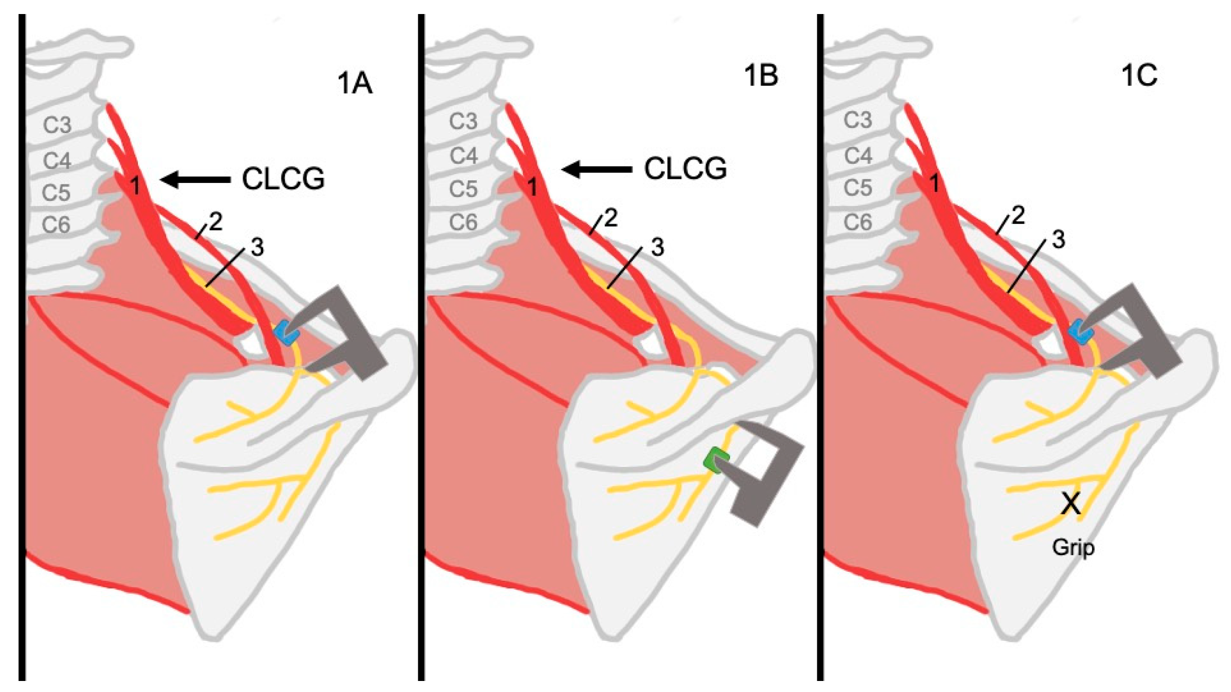 Applsci 15 06987 g001