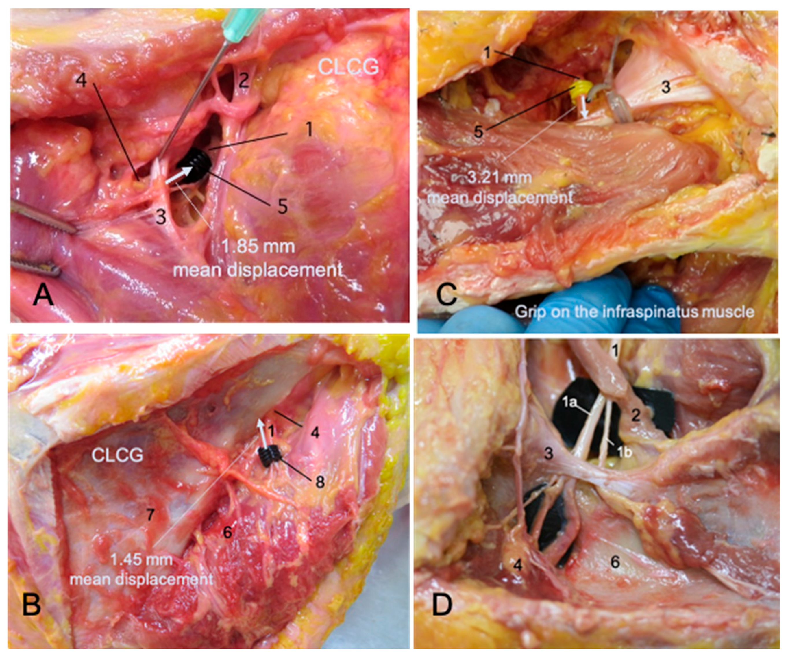 Applsci 15 06987 g003