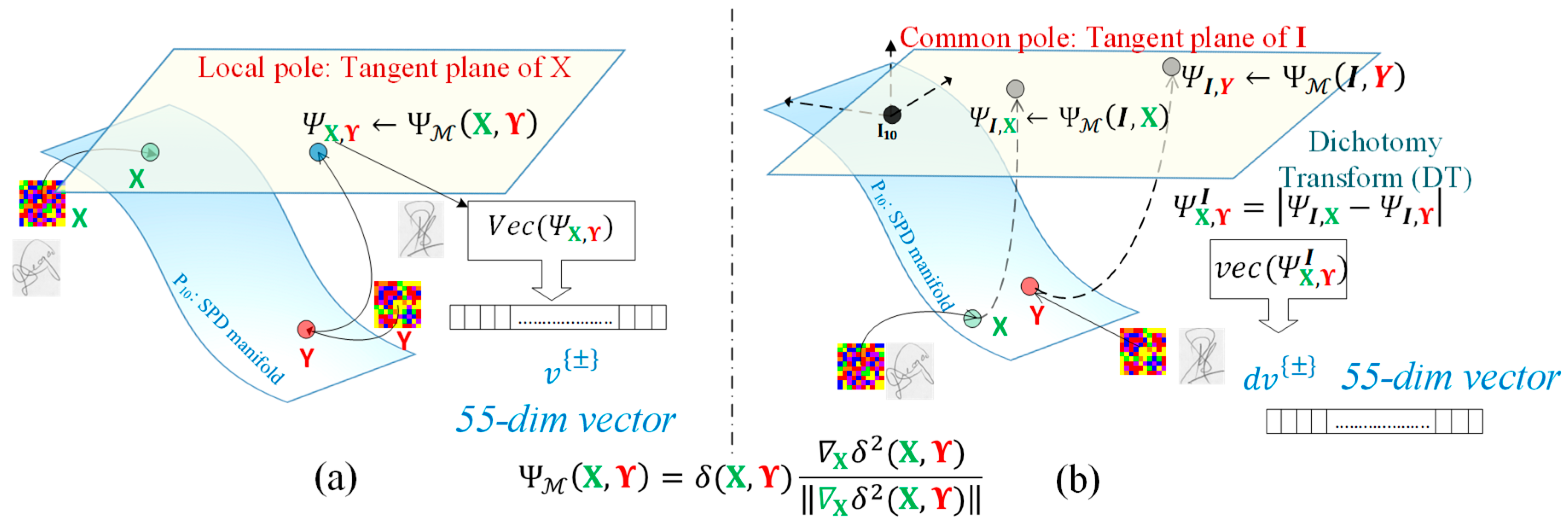 Applsci 15 07015 g001