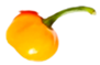 Applsci 15 07024 i002