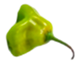 Applsci 15 07024 i003