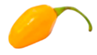 Applsci 15 07024 i005