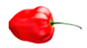 Applsci 15 07024 i006