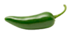 Applsci 15 07024 i007